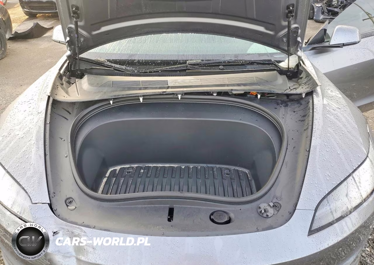 2025 Tesla Model 3 VIN:5YJ3E1EA6SF005603 - 12