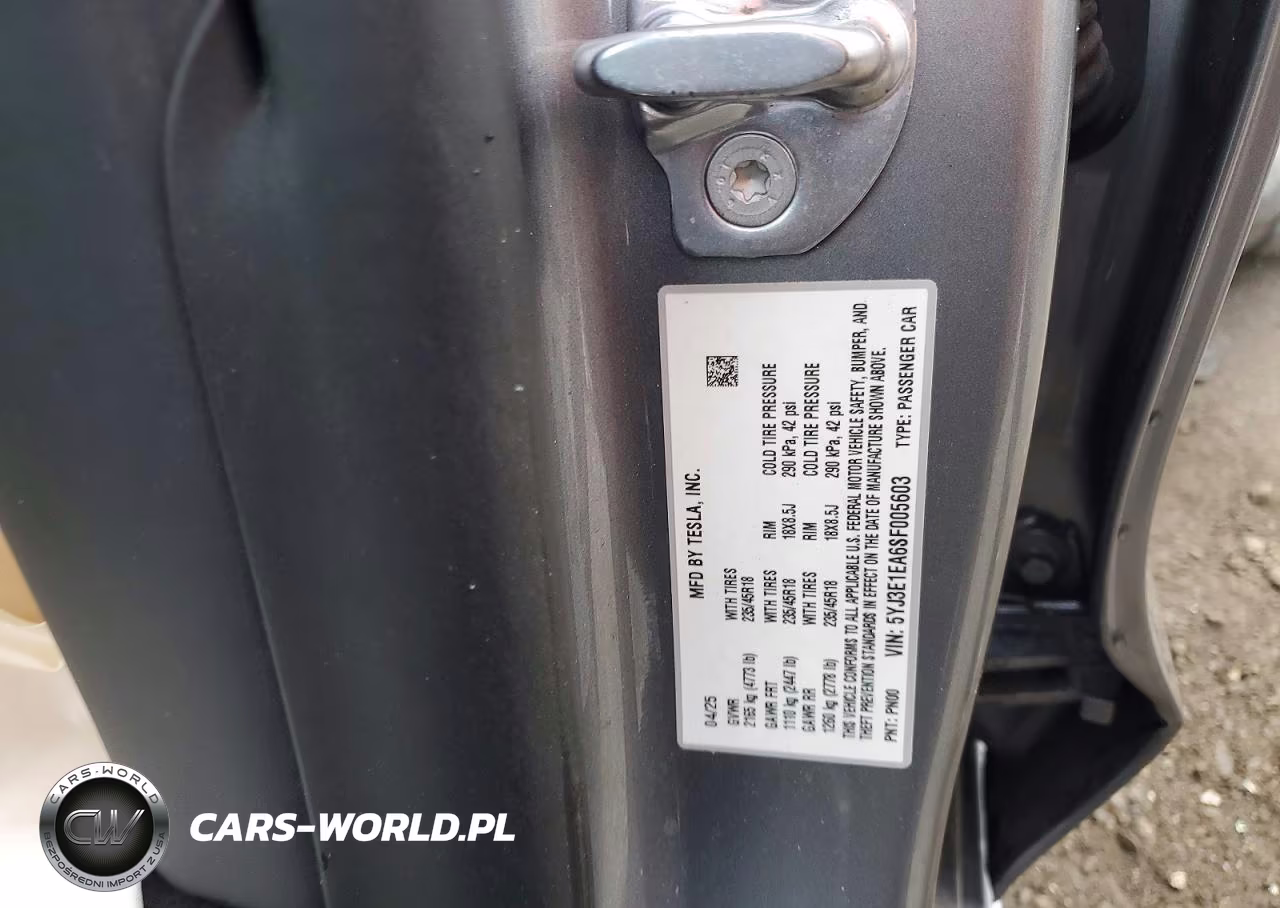 2025 Tesla Model 3 VIN:5YJ3E1EA6SF005603 - 13
