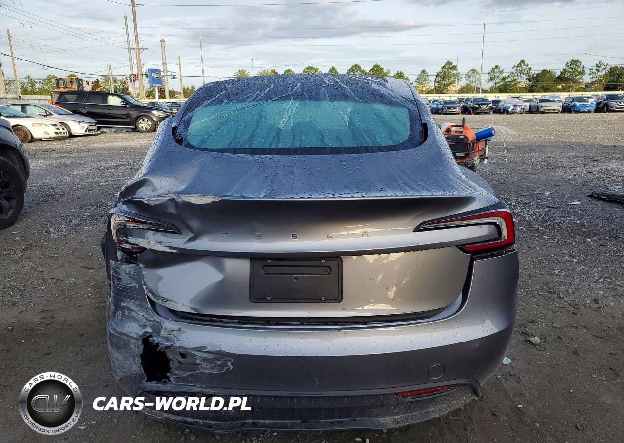 2025 Tesla Model 3 VIN:5YJ3E1EA6SF005603 - 6