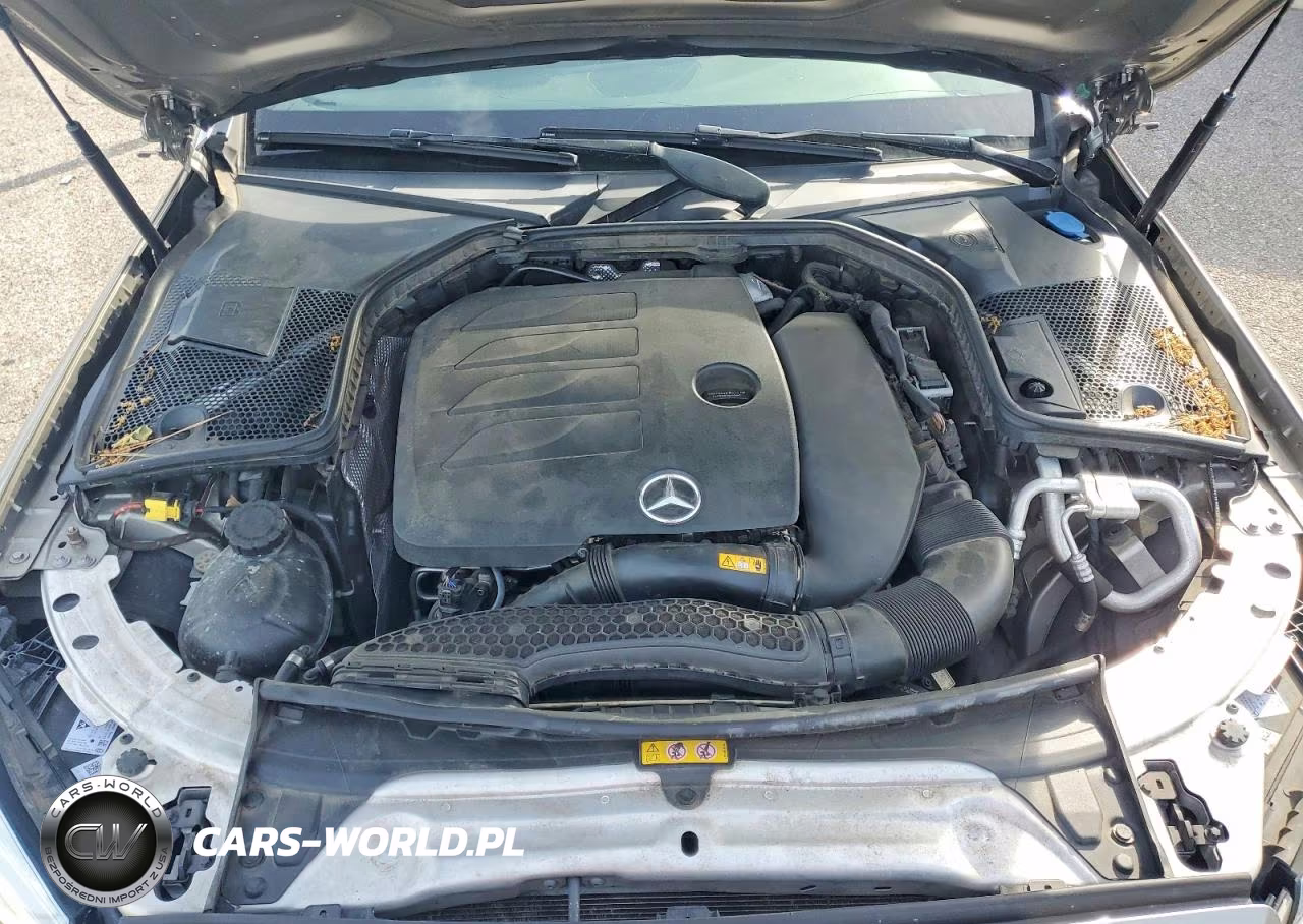2019 Mercedes-Benz C 300 VIN:WDDWF8DB4KR484620 - 11