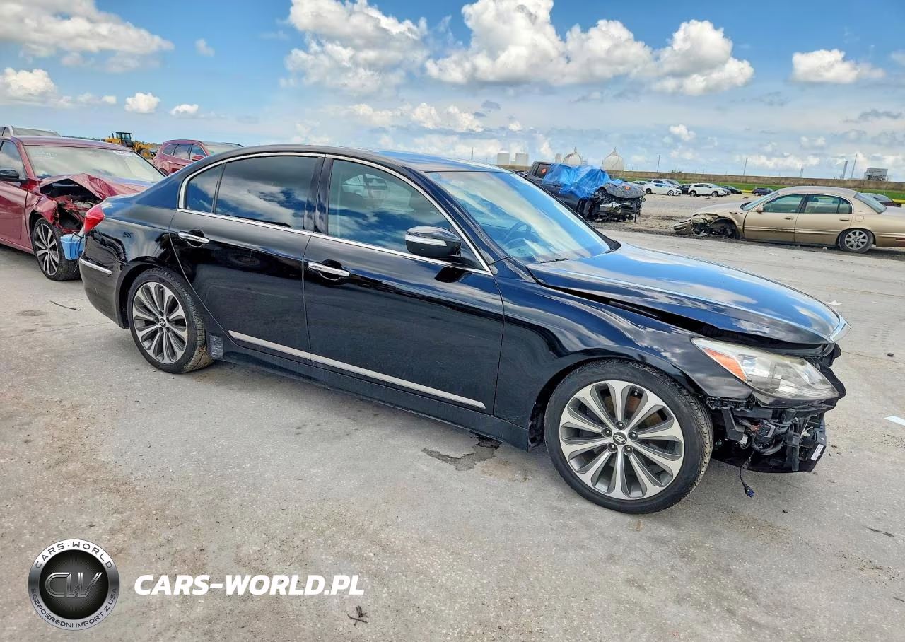 2014 Hyundai Genesis 5.0L VIN:KMHGC4DH1EU265275 - 4