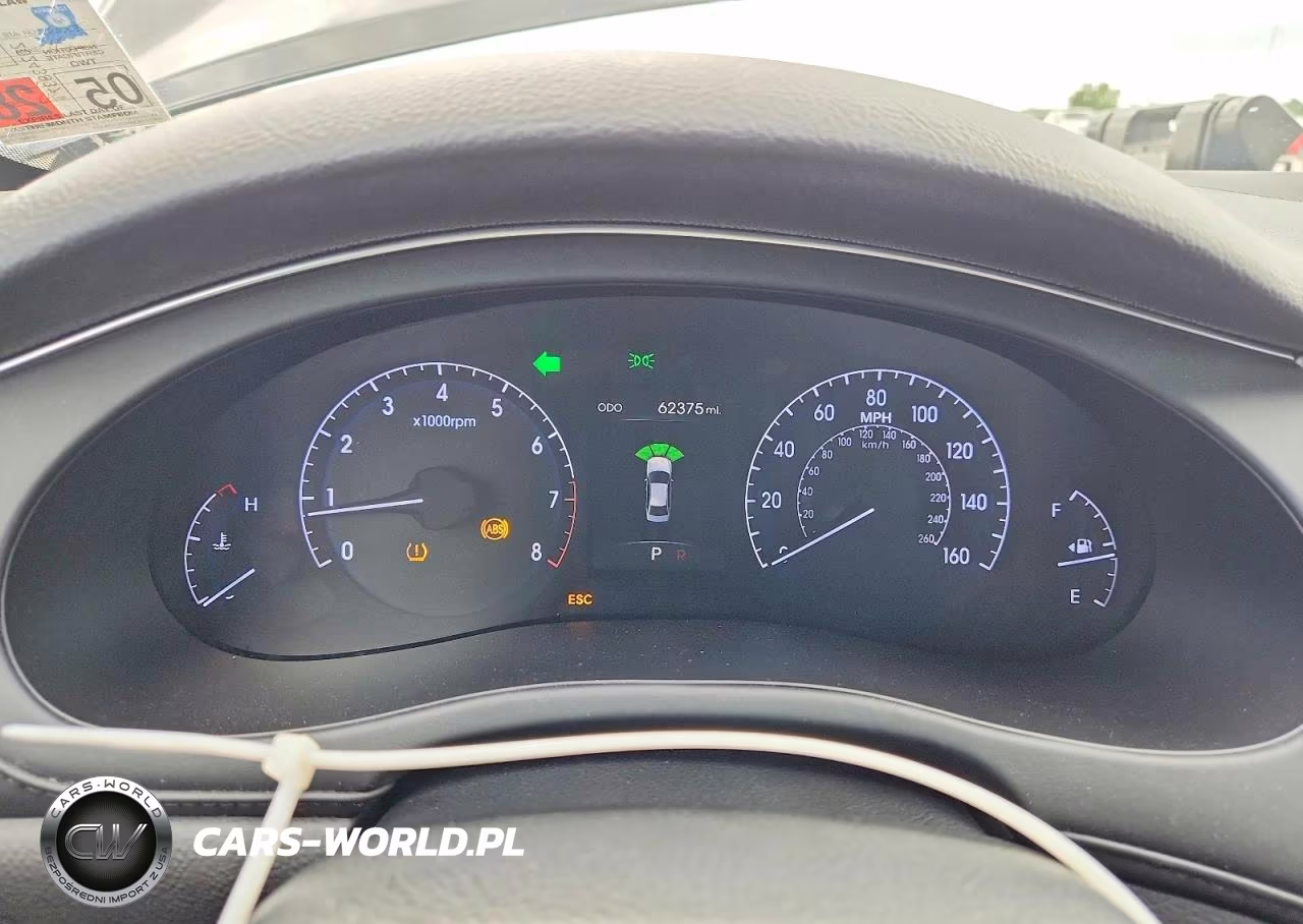 2014 Hyundai Genesis 5.0L VIN:KMHGC4DH1EU265275 - 9