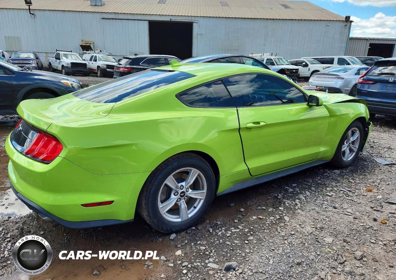 2020 Ford Mustang VIN:1FA6P8THXL5159255 - 3