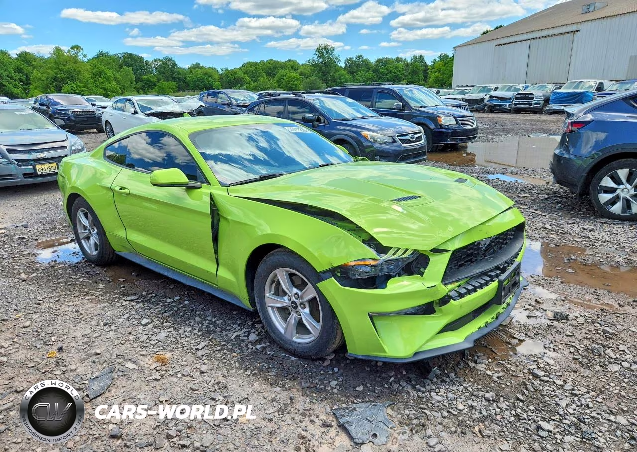 2020 Ford Mustang VIN:1FA6P8THXL5159255 - 4