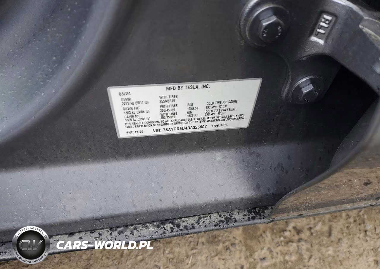 2024 Tesla Model Y VIN:7SAYGDED4RA325007 - 13