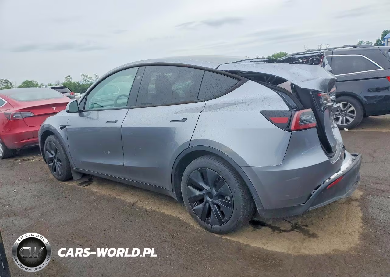 2024 Tesla Model Y VIN:7SAYGDED4RA325007 - 2