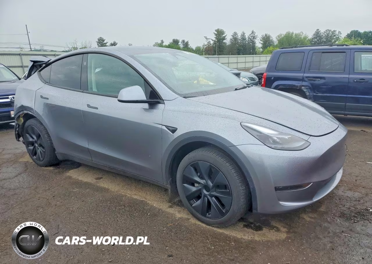 2024 Tesla Model Y VIN:7SAYGDED4RA325007 - 4