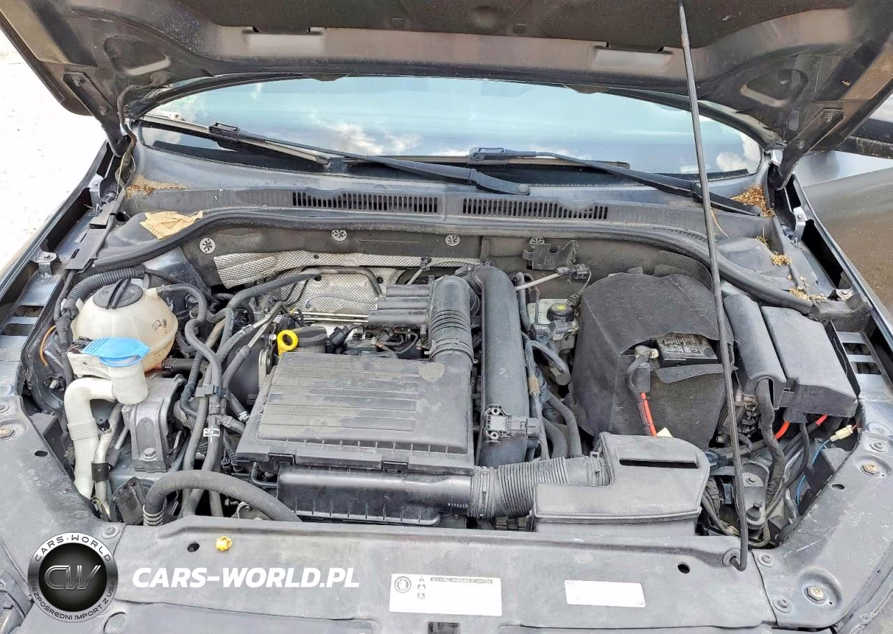 2016 Volkswagen Jetta Se VIN:3VWD67AJ3GM232094 - 11