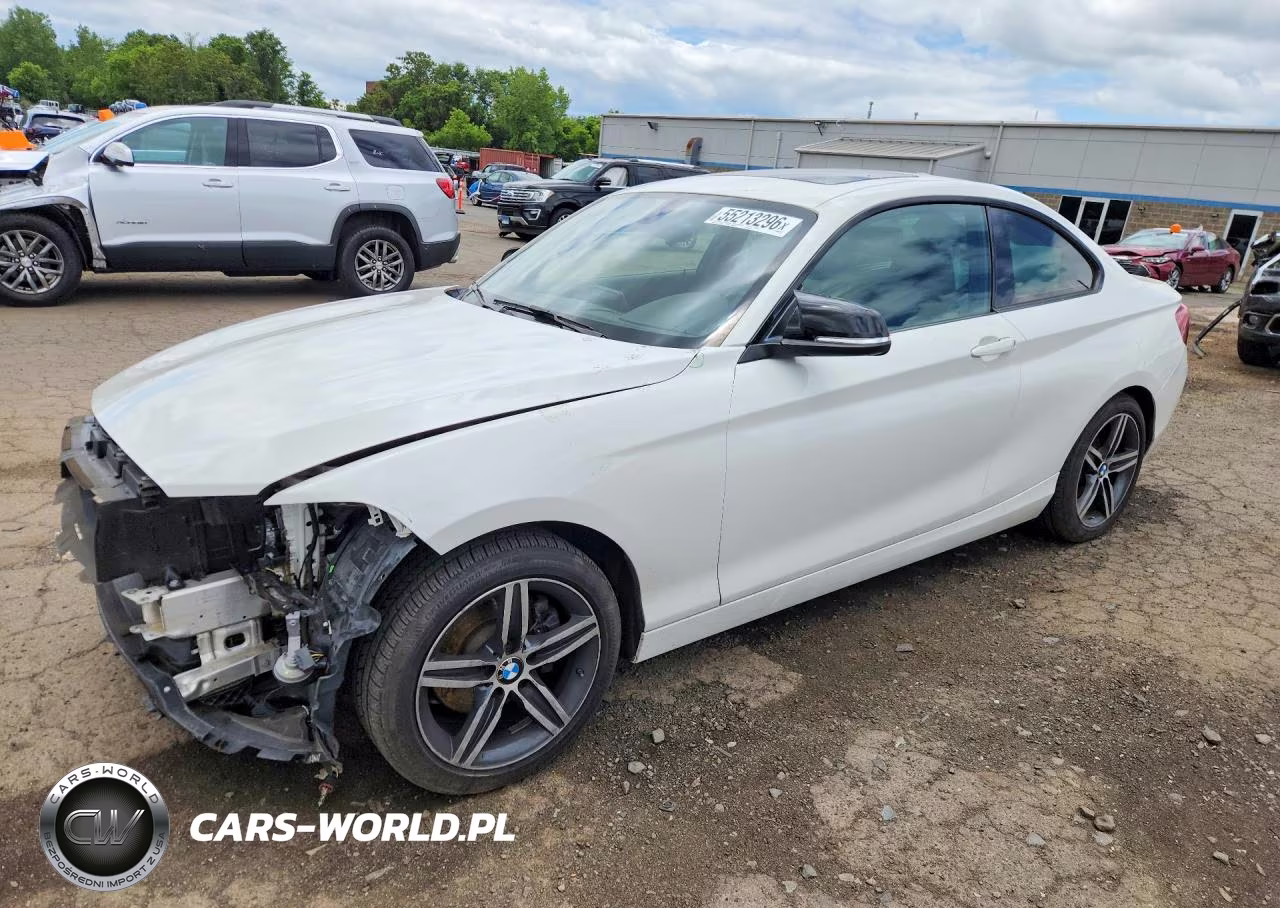 2017 BMW 230I