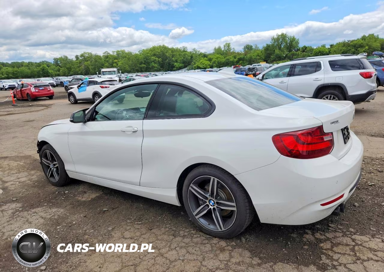 2017 BMW 230I VIN:WBA2F9C38HV984222 - 2