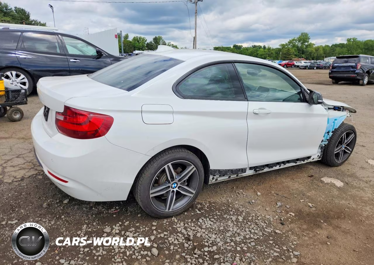 2017 BMW 230I VIN:WBA2F9C38HV984222 - 3