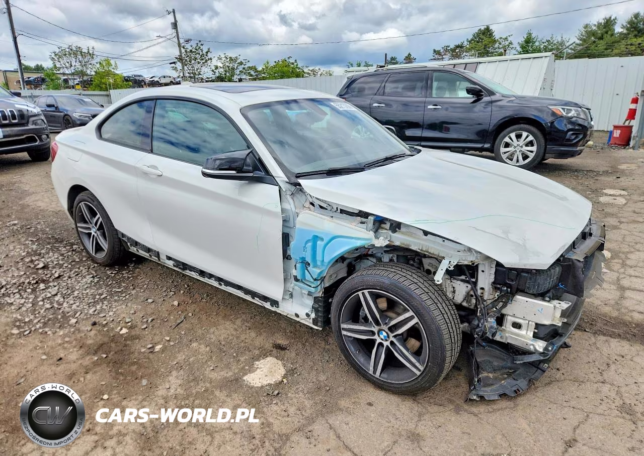 2017 BMW 230I VIN:WBA2F9C38HV984222 - 4