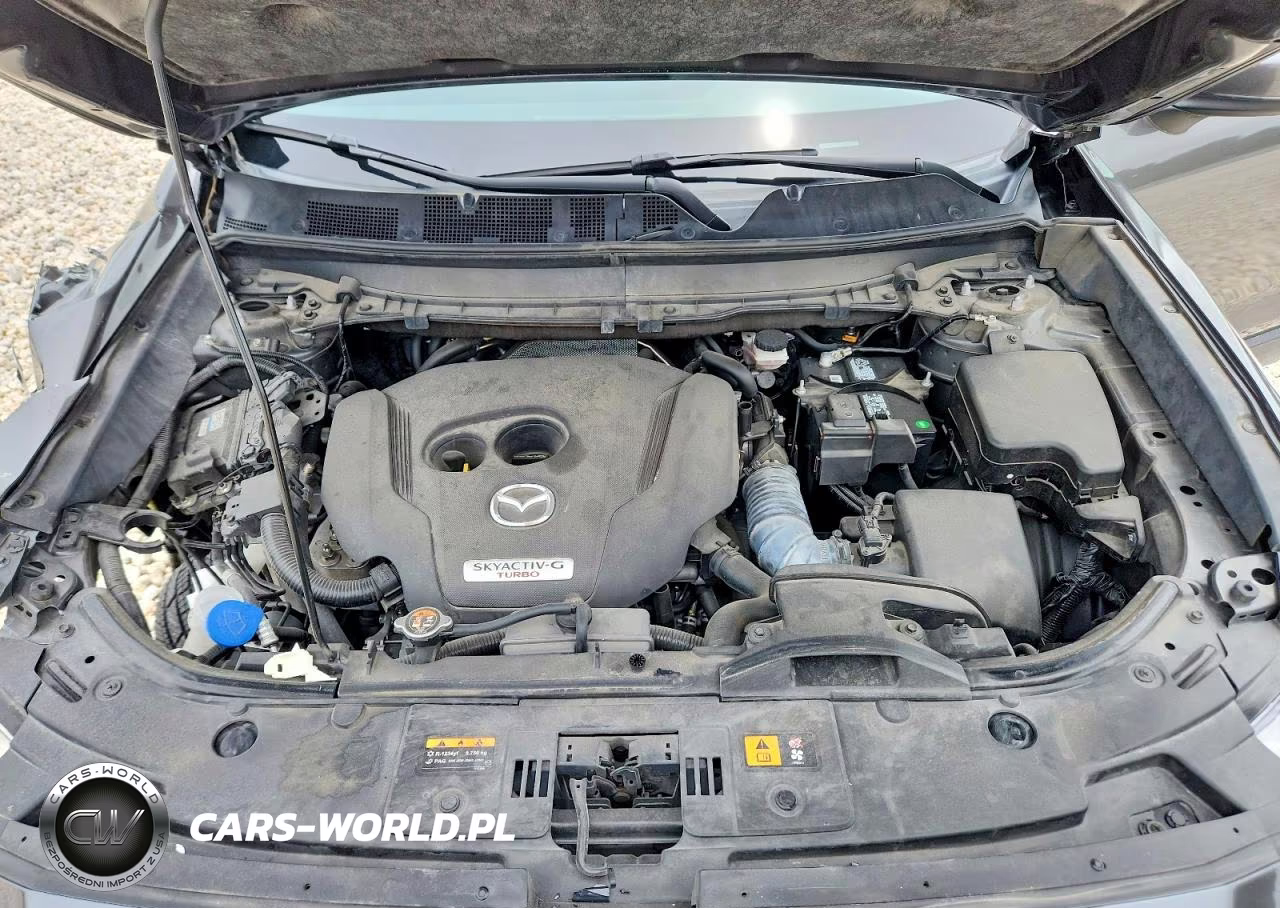 2022 Mazda Cx-9 Sport VIN:JM3TCBBY2N0617451 - 11