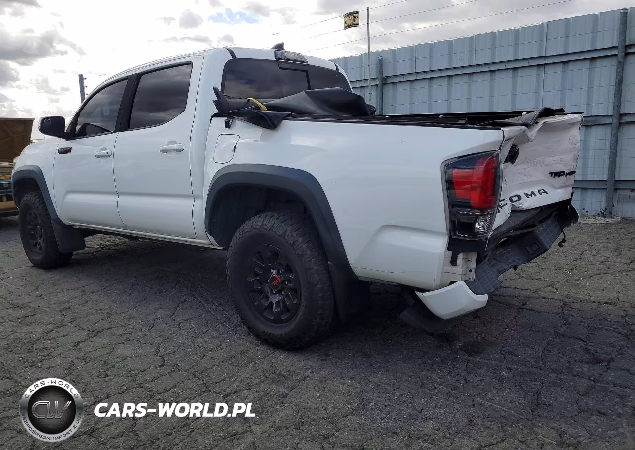 2019 Toyota Tacoma Trd Pro VIN:5TFCZ5AN6KX184672 - 2