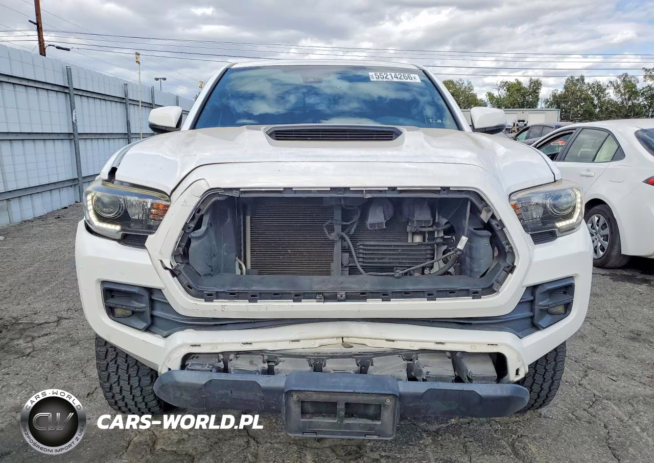 2019 Toyota Tacoma Trd Pro VIN:5TFCZ5AN6KX184672 - 5