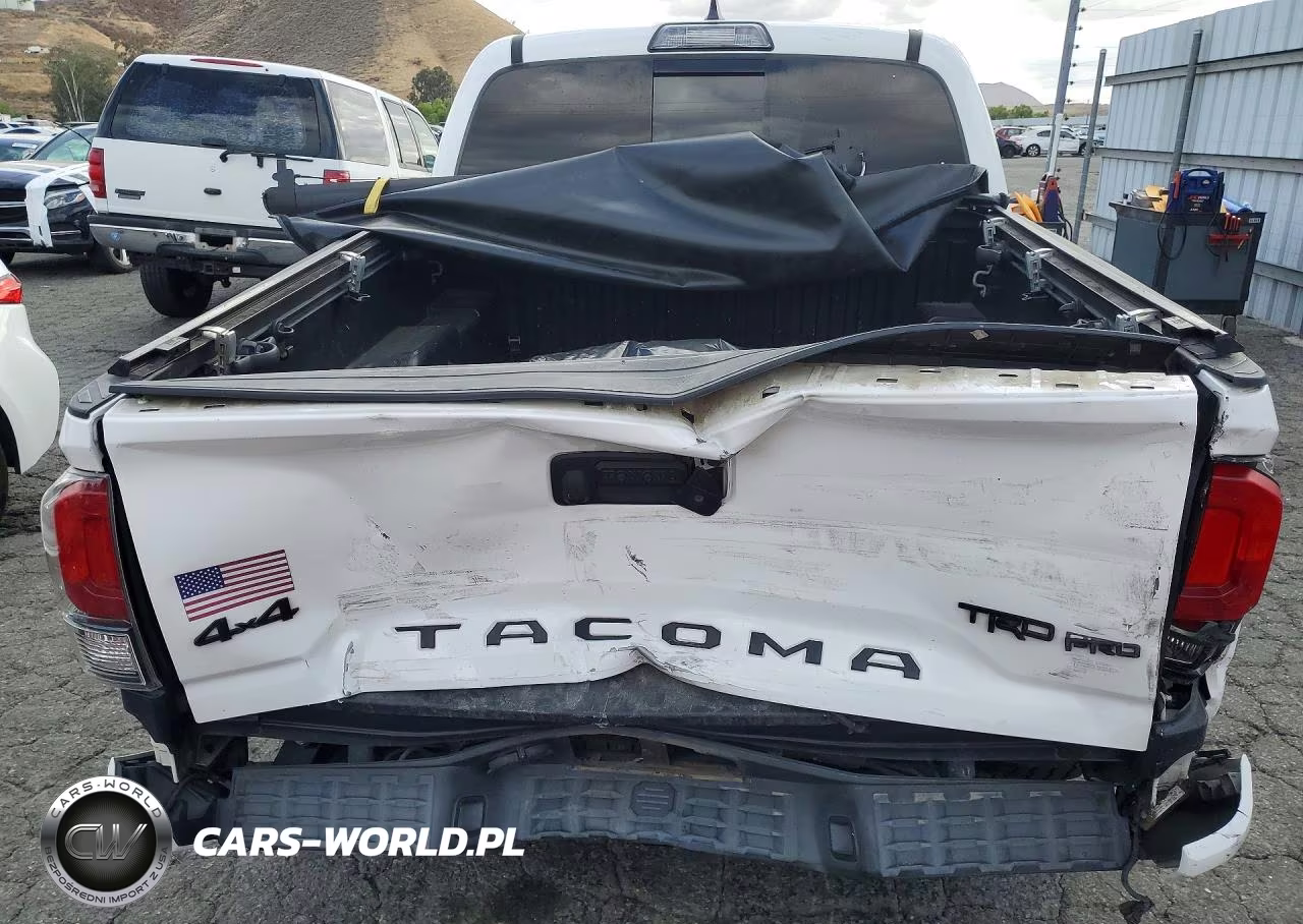 2019 Toyota Tacoma Trd Pro VIN:5TFCZ5AN6KX184672 - 6