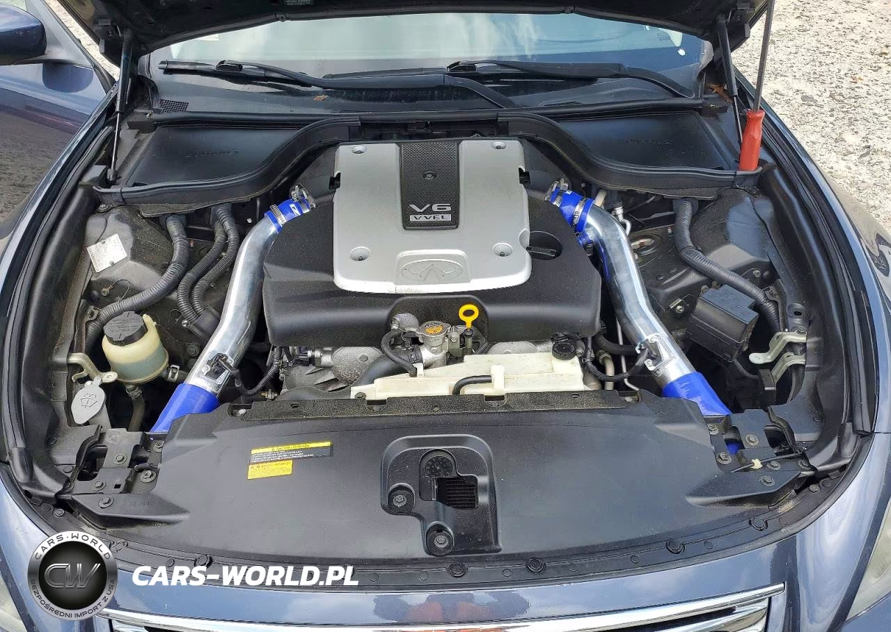 2011 Infiniti G37 Coupe Base VIN:JN1CV6EK1BM210732 - 11