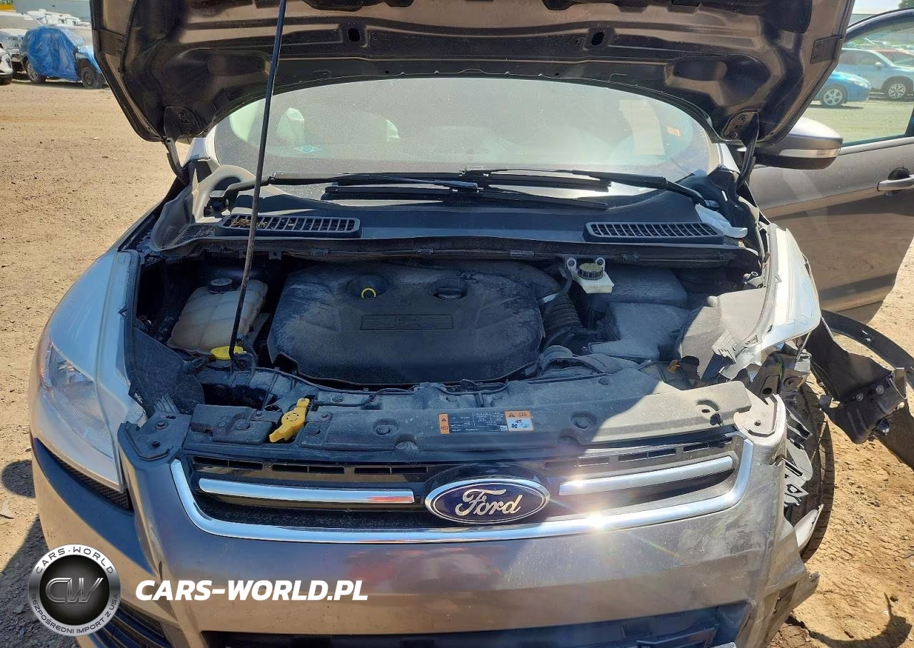 2013 Ford Escape Sel VIN:1FMCU0H96DUC85026 - 12