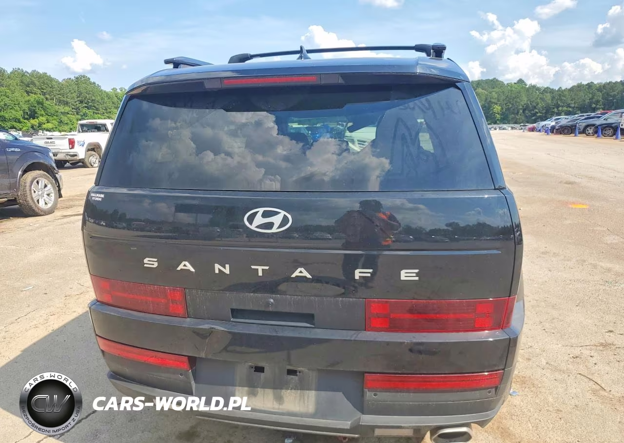 2025 Hyundai Santa Fe Sel VIN:5NMP24GL5SH119049 - 6