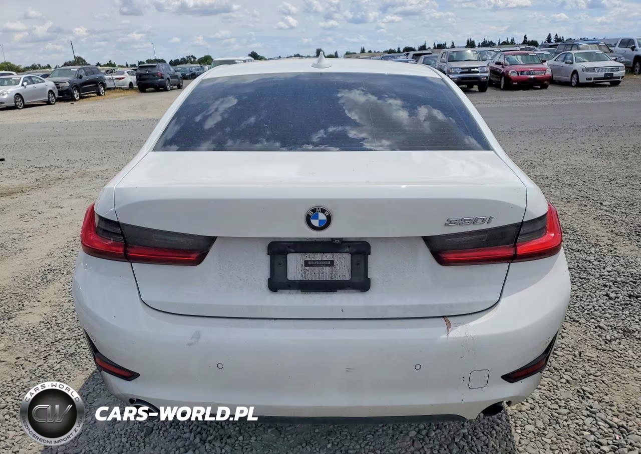 2020 BMW 330I VIN:3MW5R1J04L8B04420 - 6