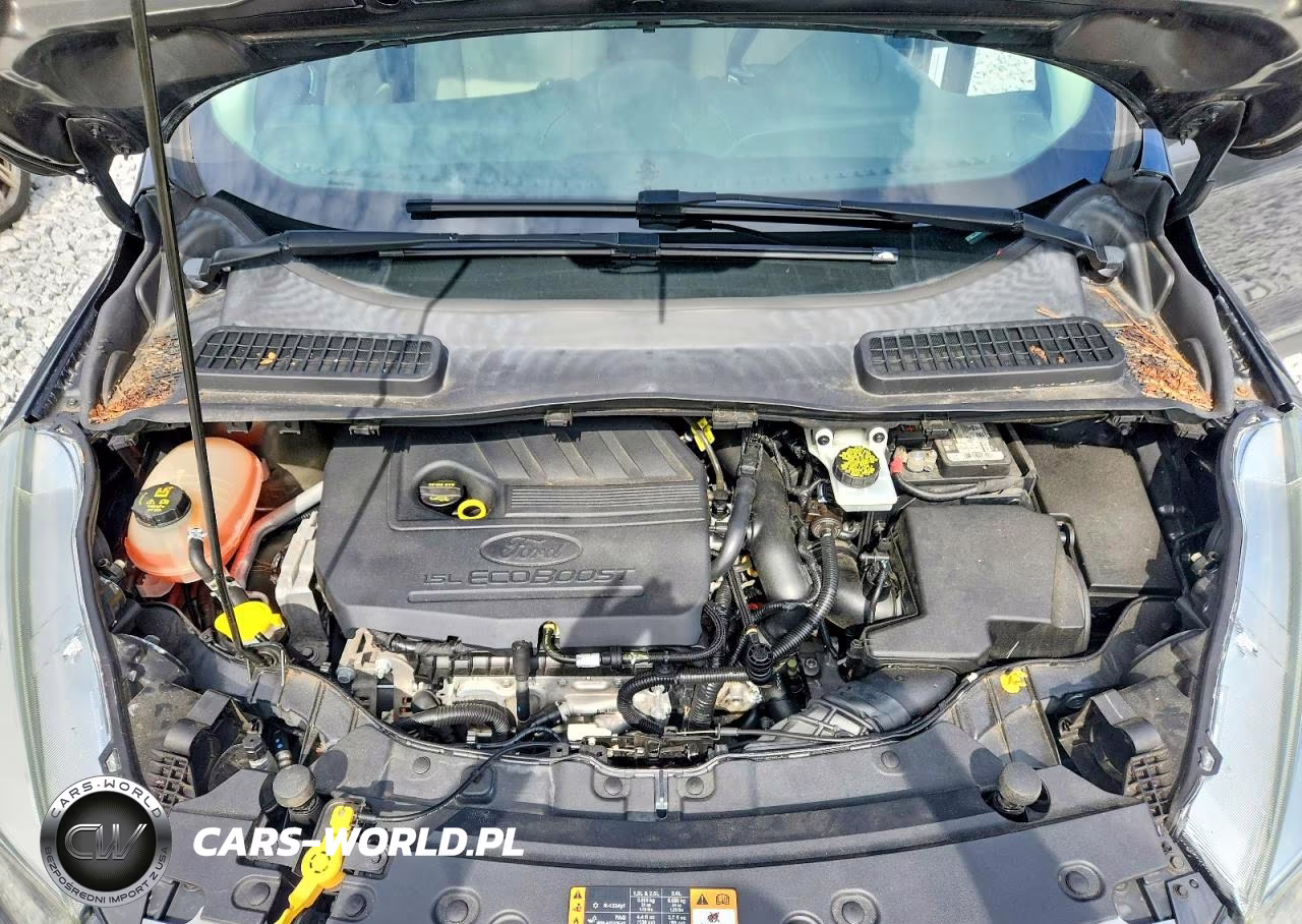 2017 Ford Escape Se VIN:1FMCU0GD1HUA52991 - 12