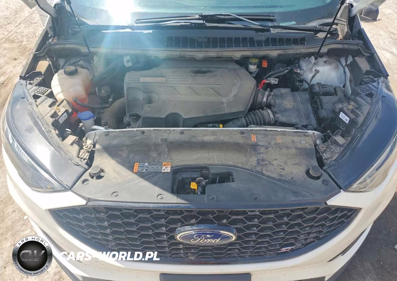 2019 Ford Edge St VIN:2FMPK4AP5KBB92170 - 12
