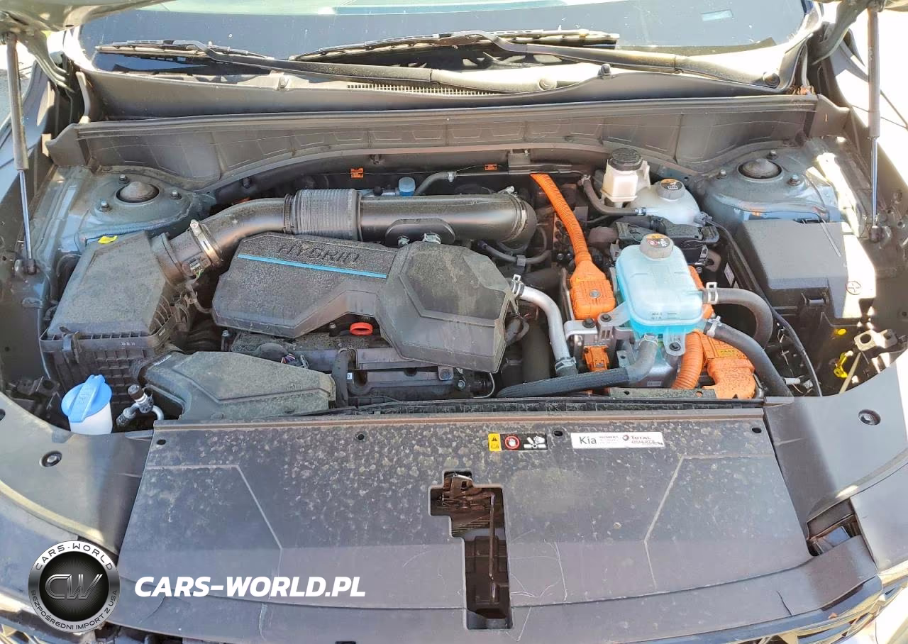 2025 Kia Sorento Ex VIN:KNDRJDJH6S5301491 - 12