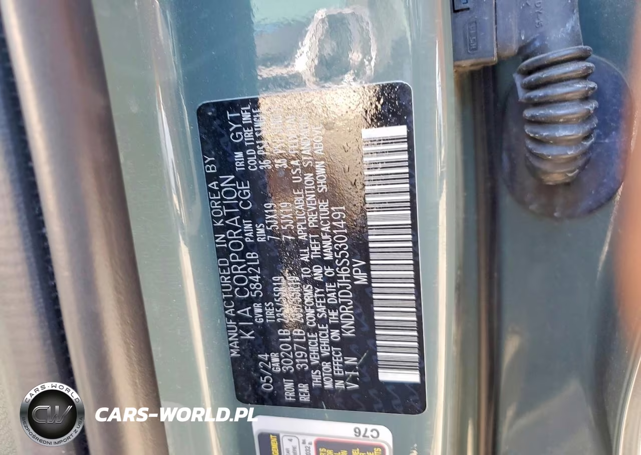 2025 Kia Sorento Ex VIN:KNDRJDJH6S5301491 - 13