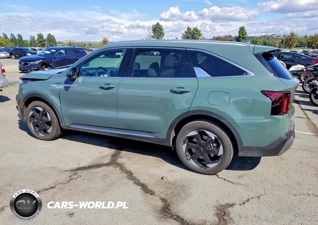2025 Kia Sorento Ex VIN:KNDRJDJH6S5301491 - 2
