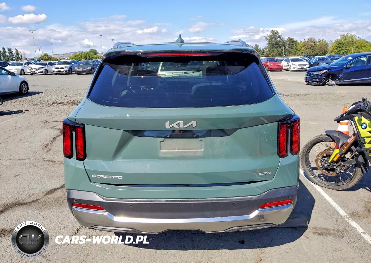 2025 Kia Sorento Ex VIN:KNDRJDJH6S5301491 - 6