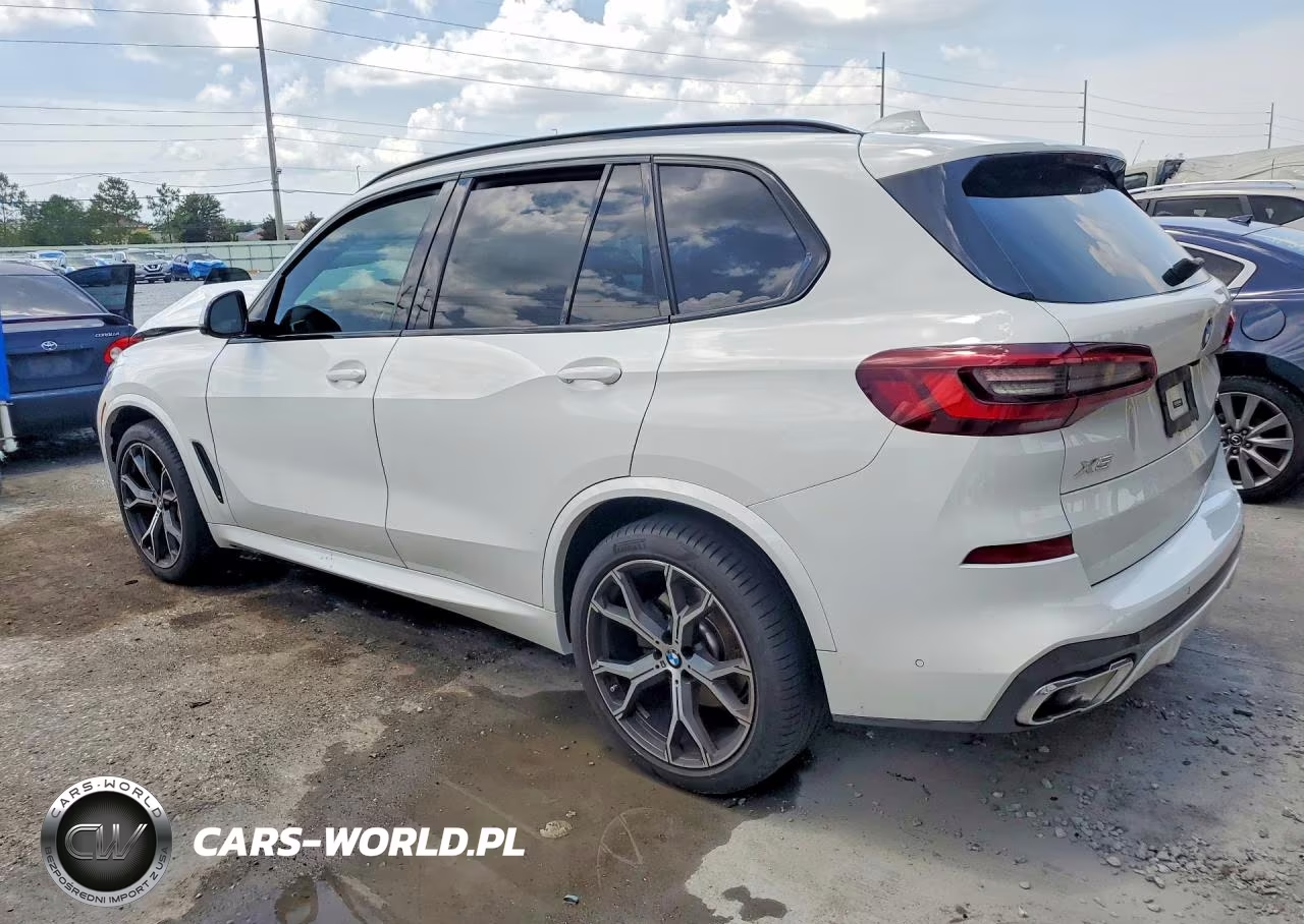 2023 BMW X5 Sdrive 40I VIN:5UXCR4C02P9P06896 - 2