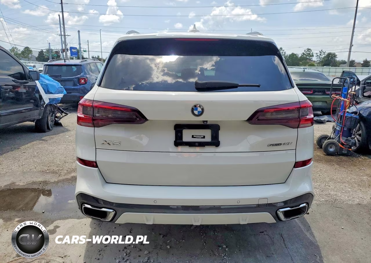 2023 BMW X5 Sdrive 40I VIN:5UXCR4C02P9P06896 - 6