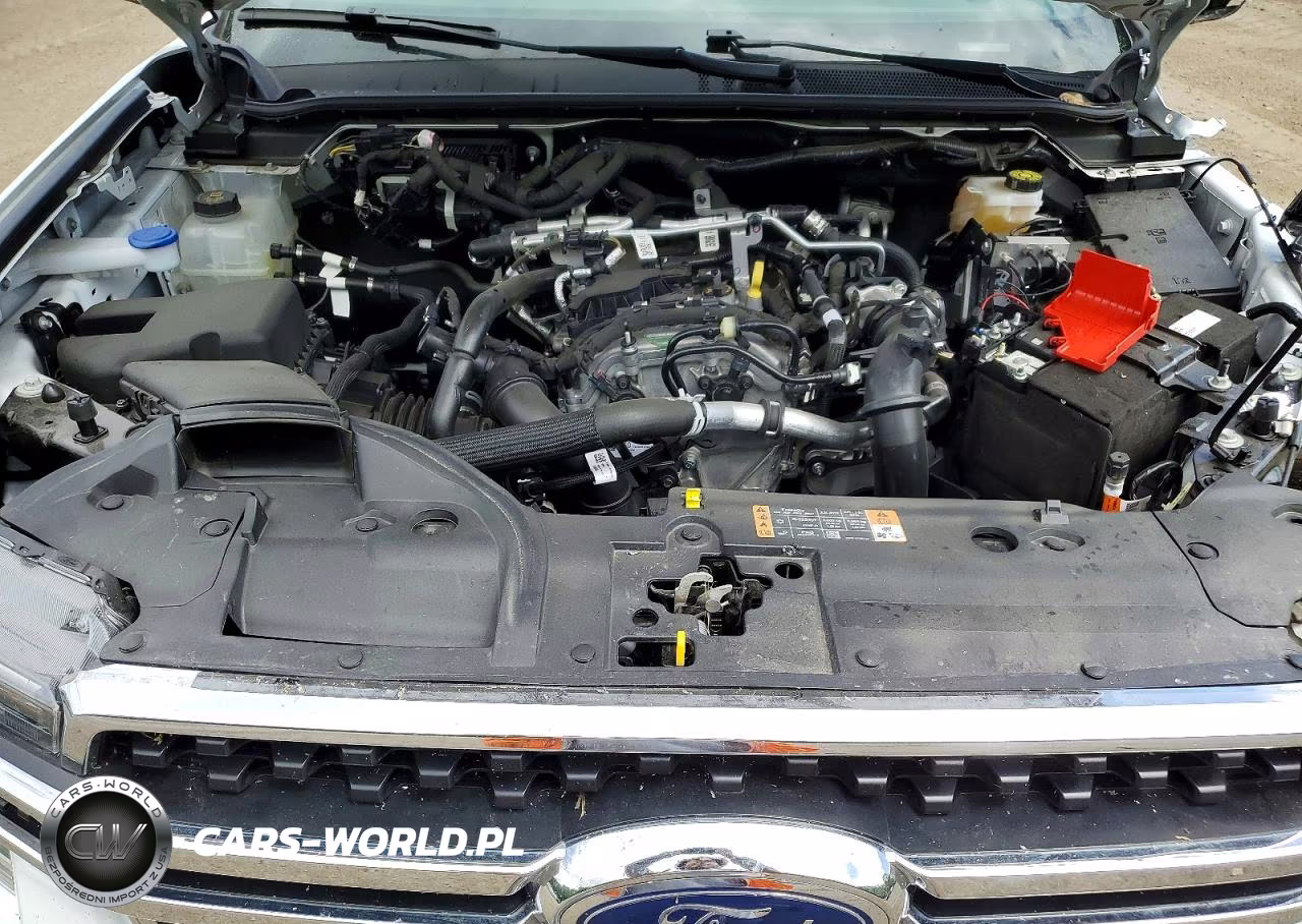 2025 Ford Ranger Xlt VIN:1FTER4HH9SLE54598 - 11