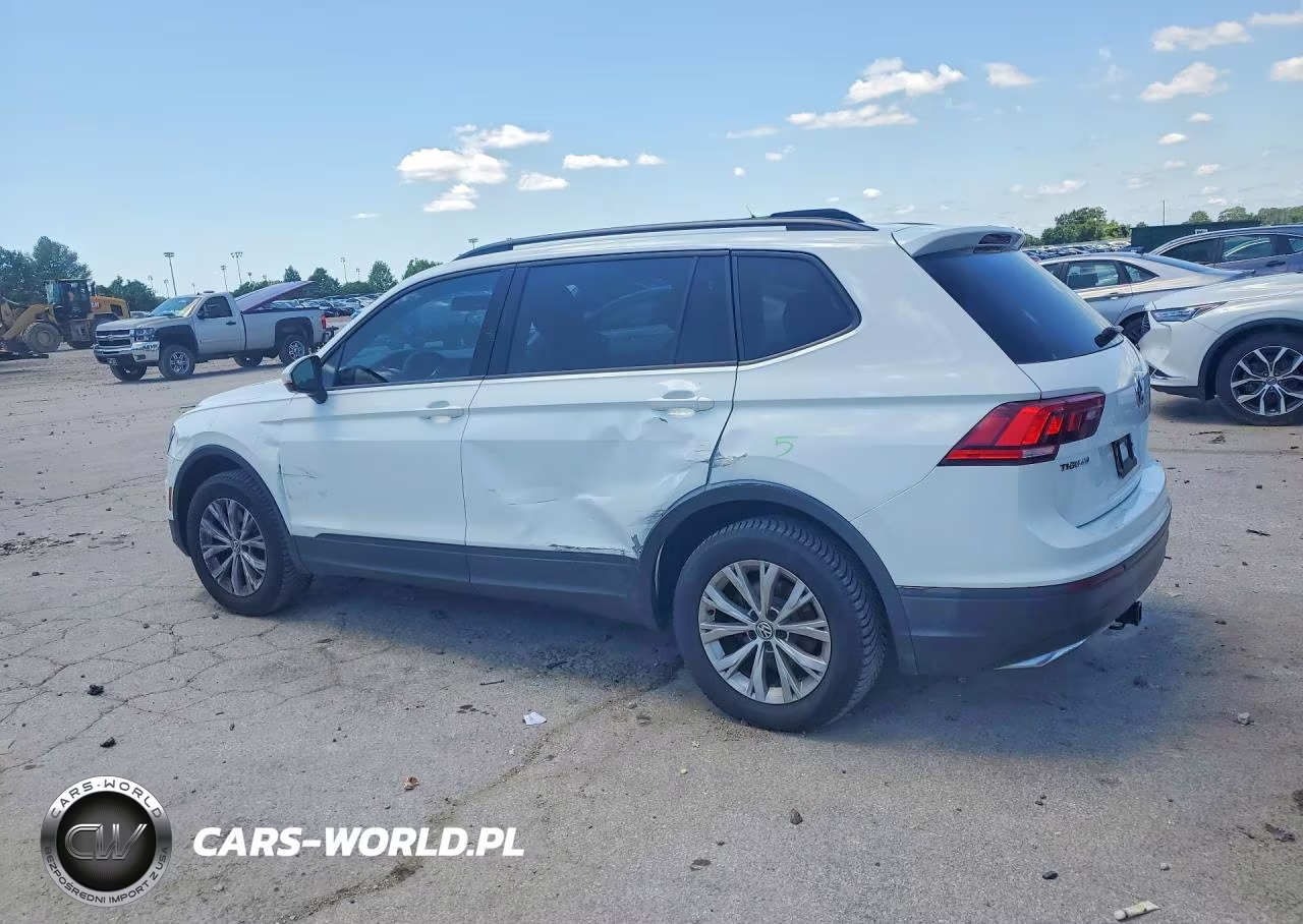 2019 Volkswagen Tiguan S VIN:3VV0B7AX4KM009462 - 2