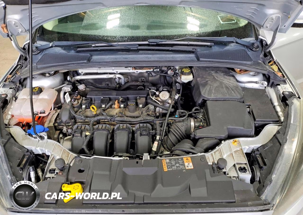 2017 Ford Focus Sel VIN:1FADP3H23HL237974 - 11