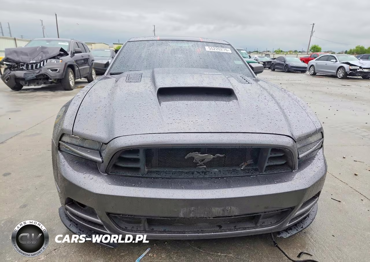 2014 Ford Mustang Gt VIN:1ZVBP8CF2E5234800 - 5