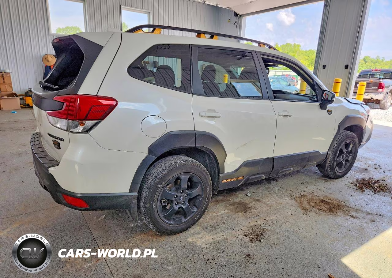 2022 Subaru Forester Wilderness VIN:JF2SKAMCXNH498067 - 3