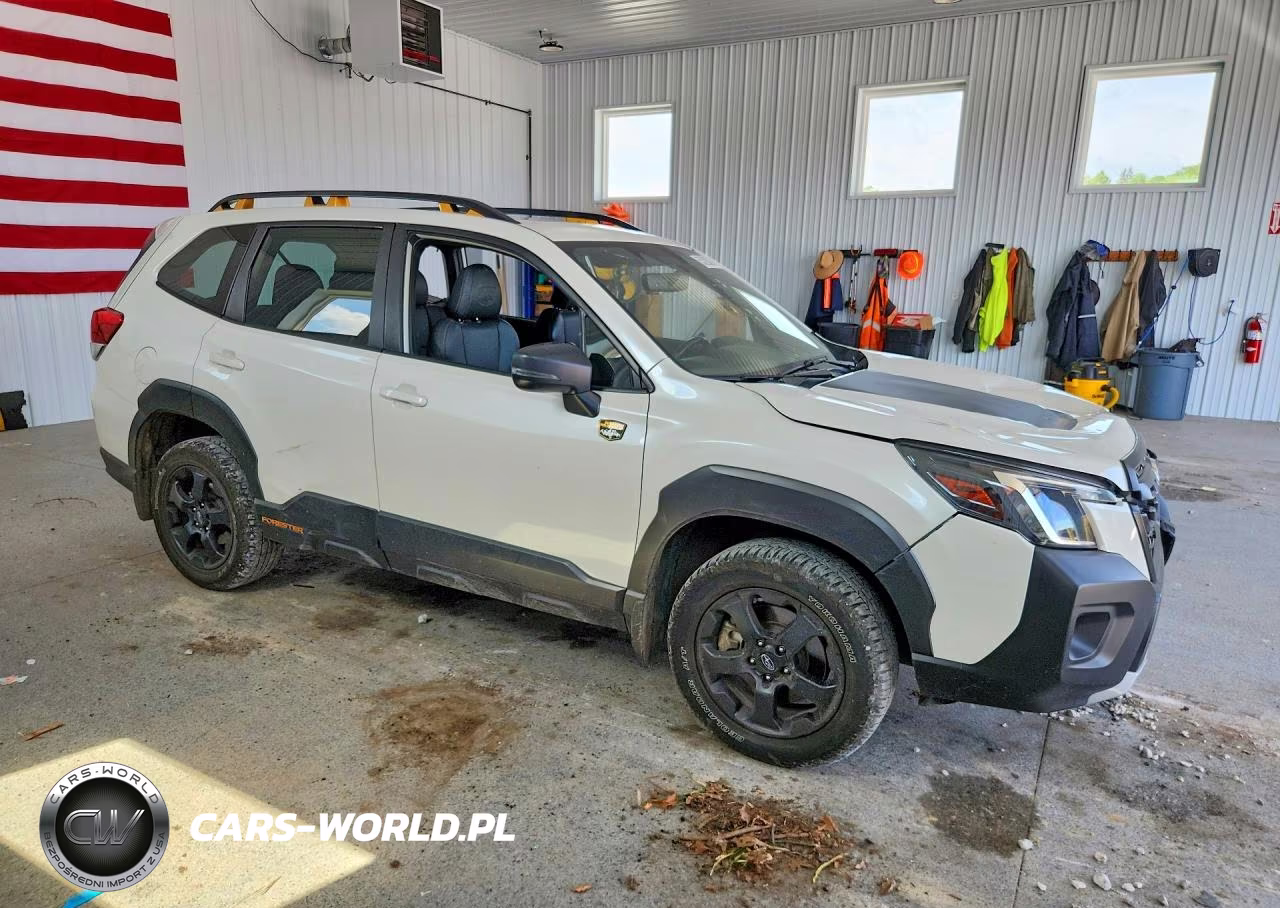 2022 Subaru Forester Wilderness VIN:JF2SKAMCXNH498067 - 4