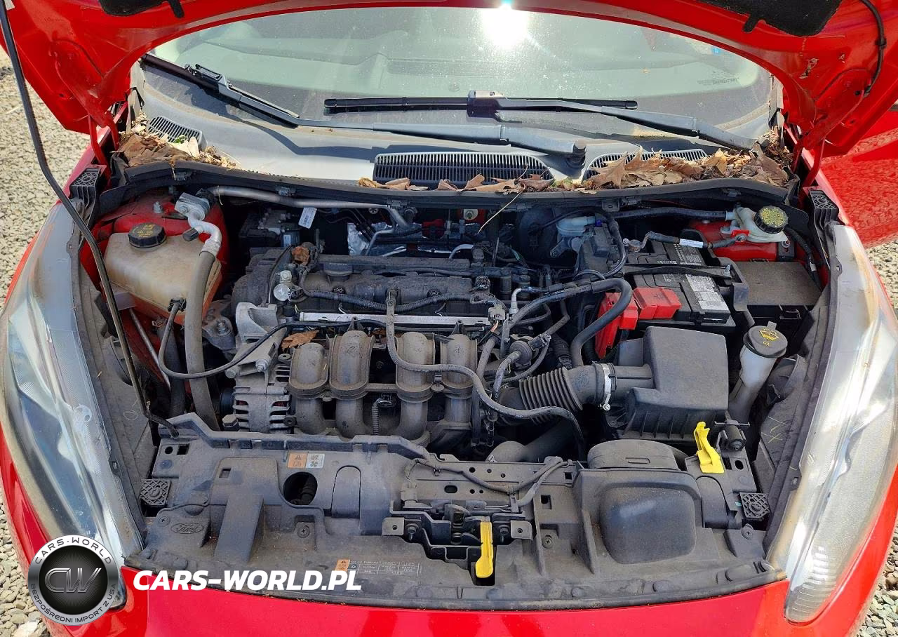 2014 Ford Fiesta Se VIN:3FADP4EJ2EM196927 - 11