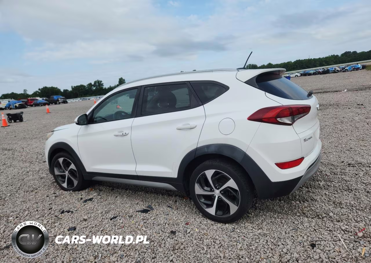 2017 Hyundai Tucson Sport VIN:KM8J33A25HU274694 - 2