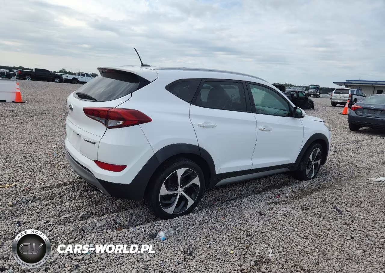 2017 Hyundai Tucson Sport VIN:KM8J33A25HU274694 - 3