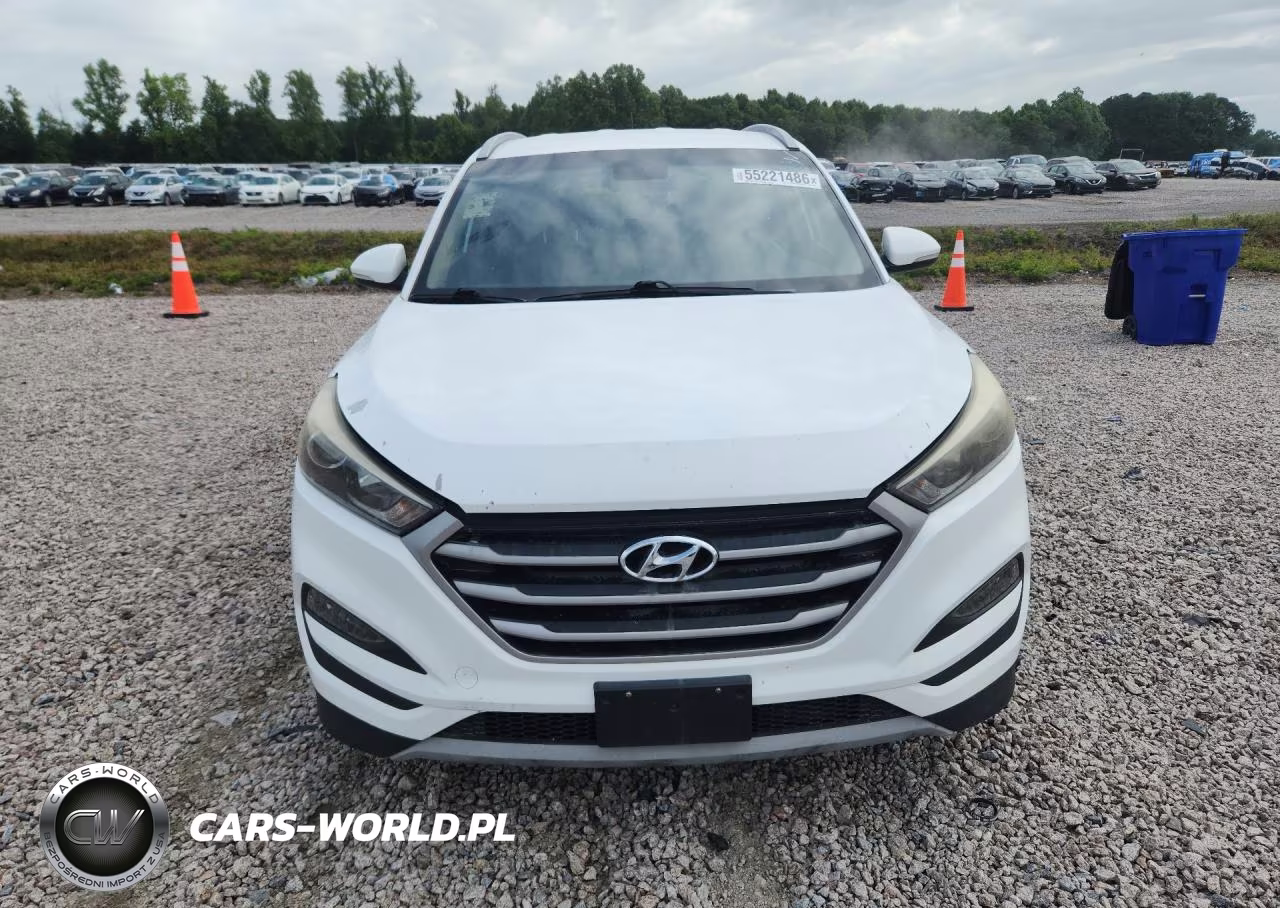 2017 Hyundai Tucson Sport VIN:KM8J33A25HU274694 - 5