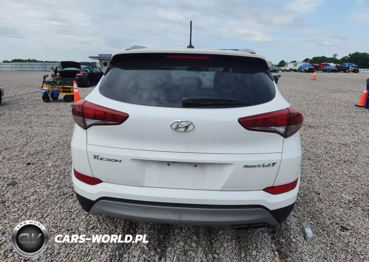 2017 Hyundai Tucson Sport VIN:KM8J33A25HU274694 - 6