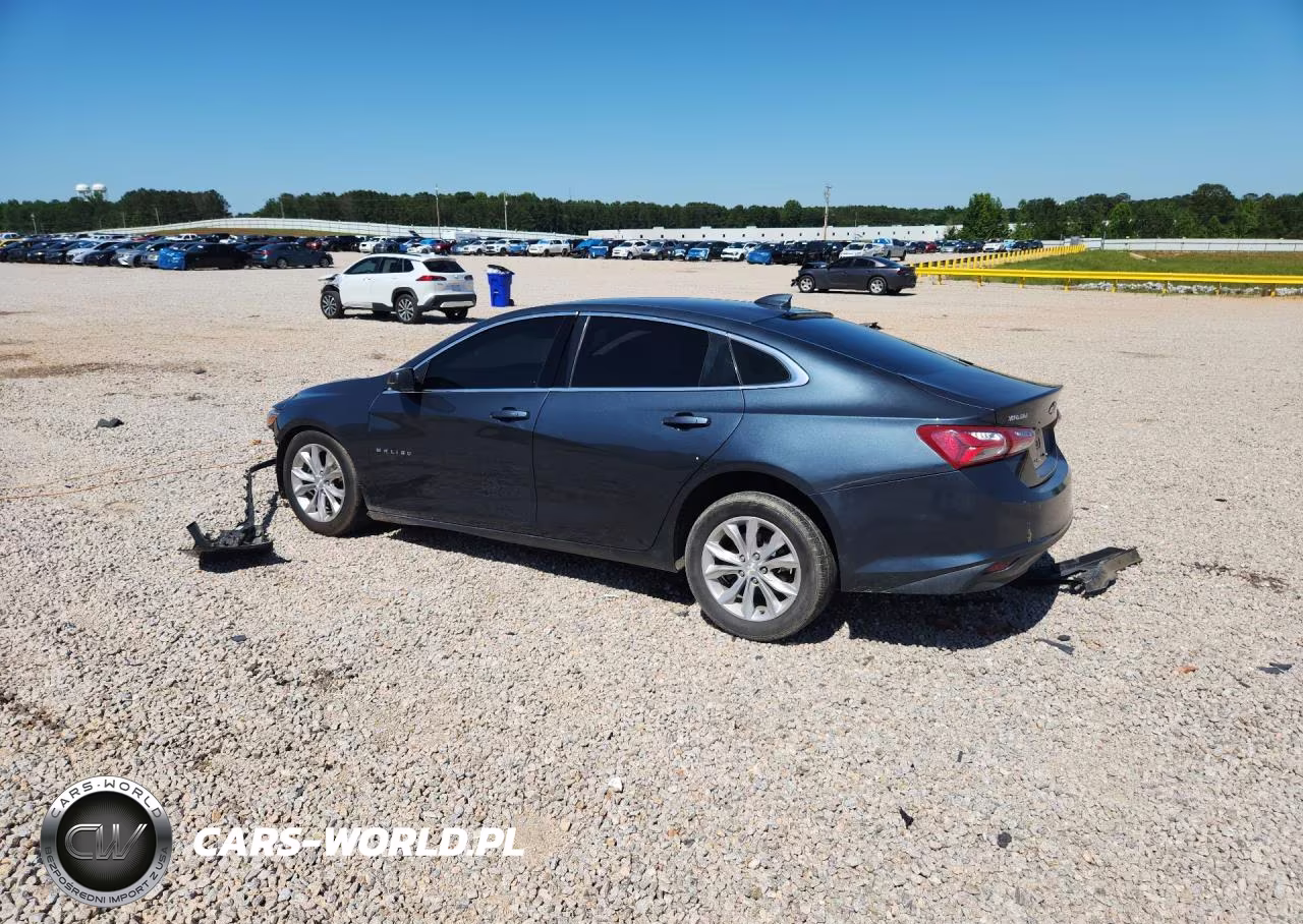 2019 Chevrolet Malibu Lt VIN:1G1ZD5ST7KF105627 - 2