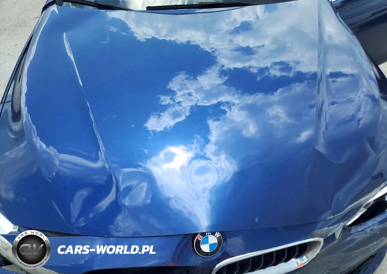 2016 BMW 340 I VIN:WBA8B3G59GNT63083 - 11