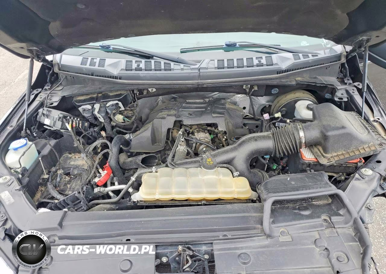 2018 Ford F150 Supercrew VIN:1FTEW1CP2JFA41005 - 11