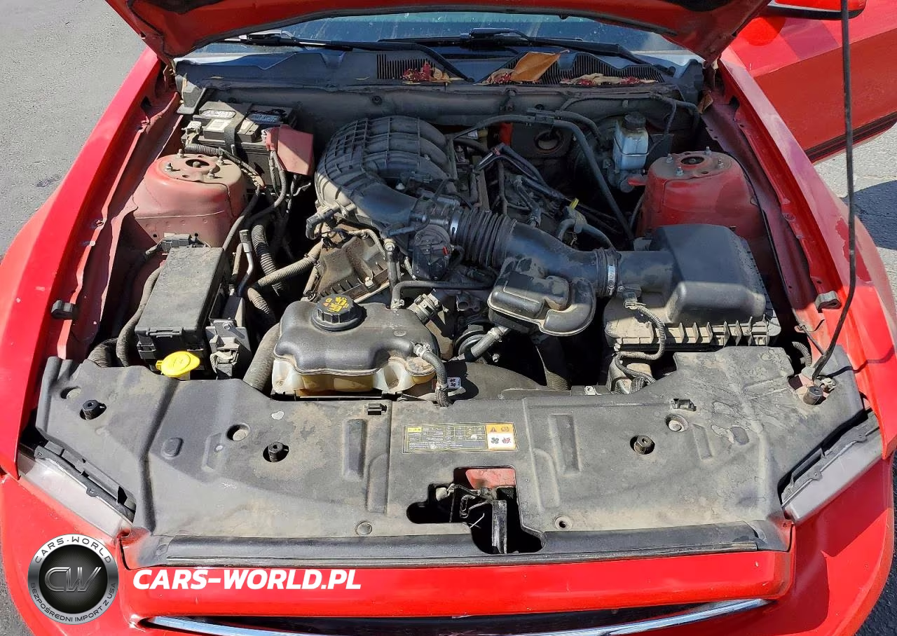 2013 Ford Mustang VIN:1ZVBP8AM0D5242118 - 11