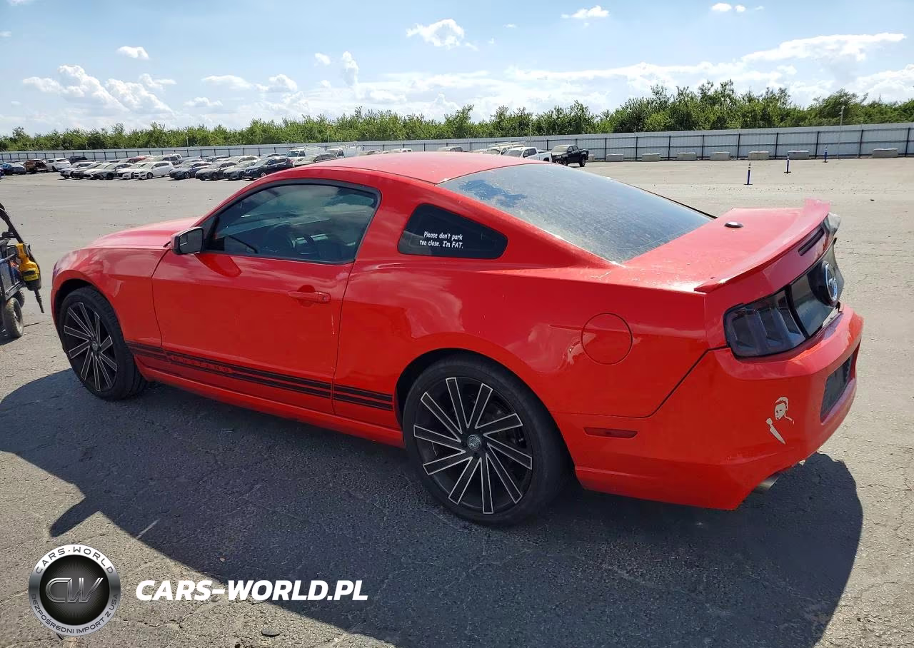 2013 Ford Mustang VIN:1ZVBP8AM0D5242118 - 2