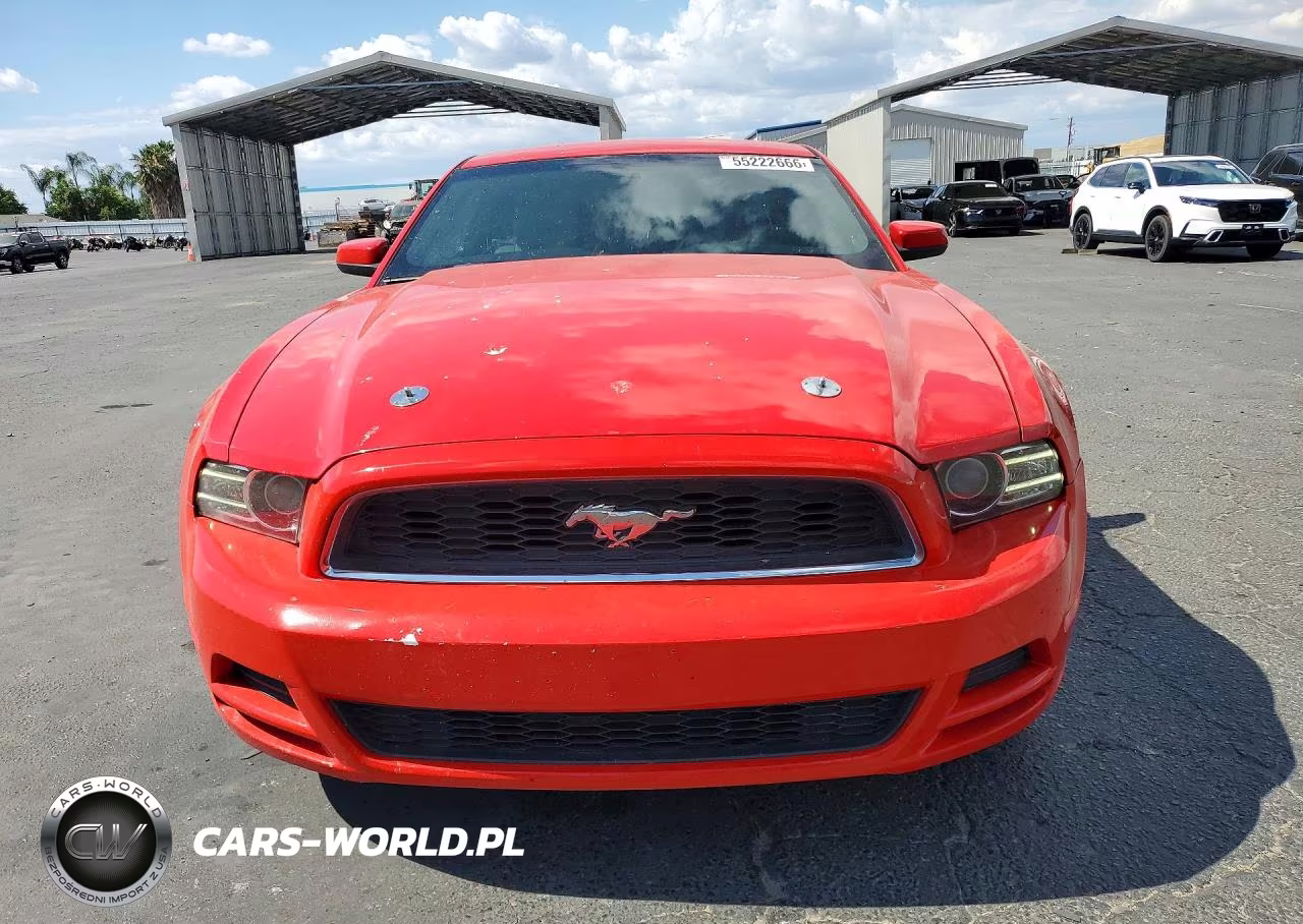 2013 Ford Mustang VIN:1ZVBP8AM0D5242118 - 5
