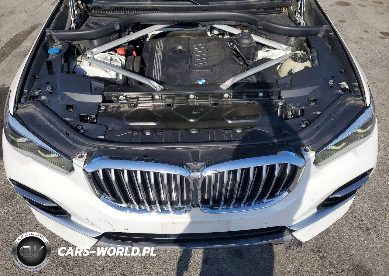 2020 BMW X5 Sdrive 40I VIN:5UXCR4C06L9C57607 - 12